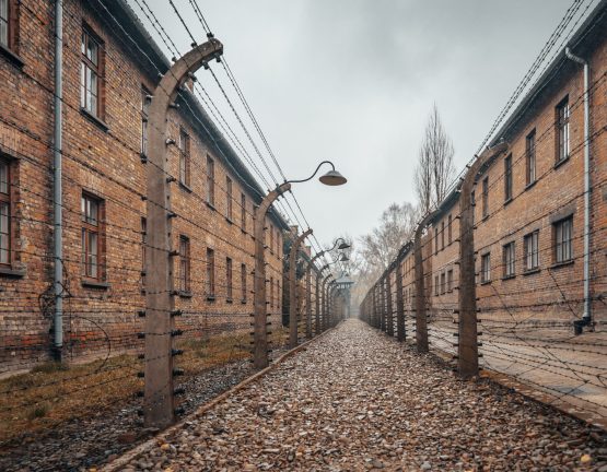 An amazing shot of the Auschwitz concentration camp in Poland-perfect for old prison, death camp concepts